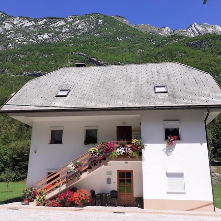 Apartma Pod Rozem Soča エクステリア 写真