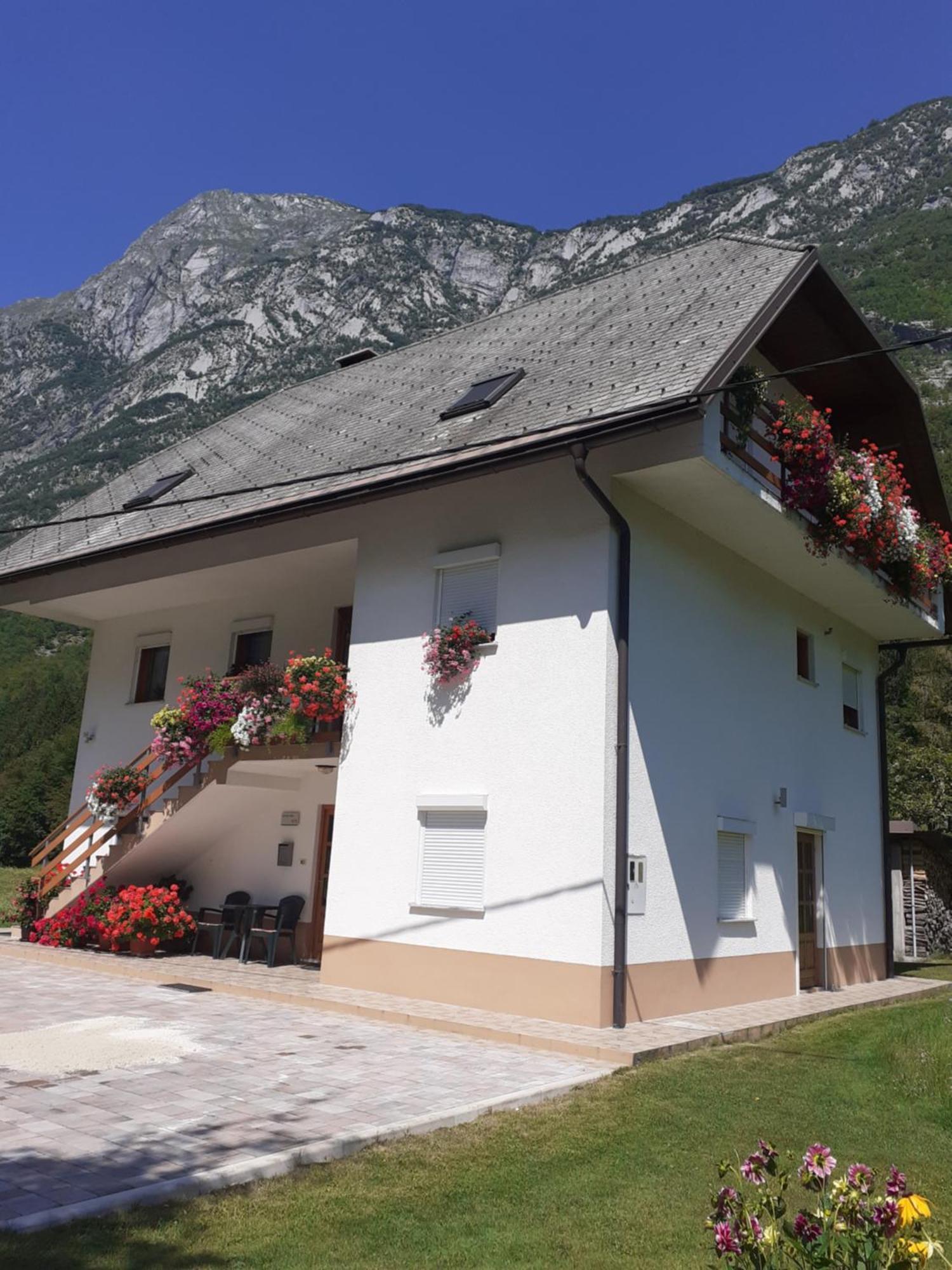 Apartma Pod Rozem Soča エクステリア 写真