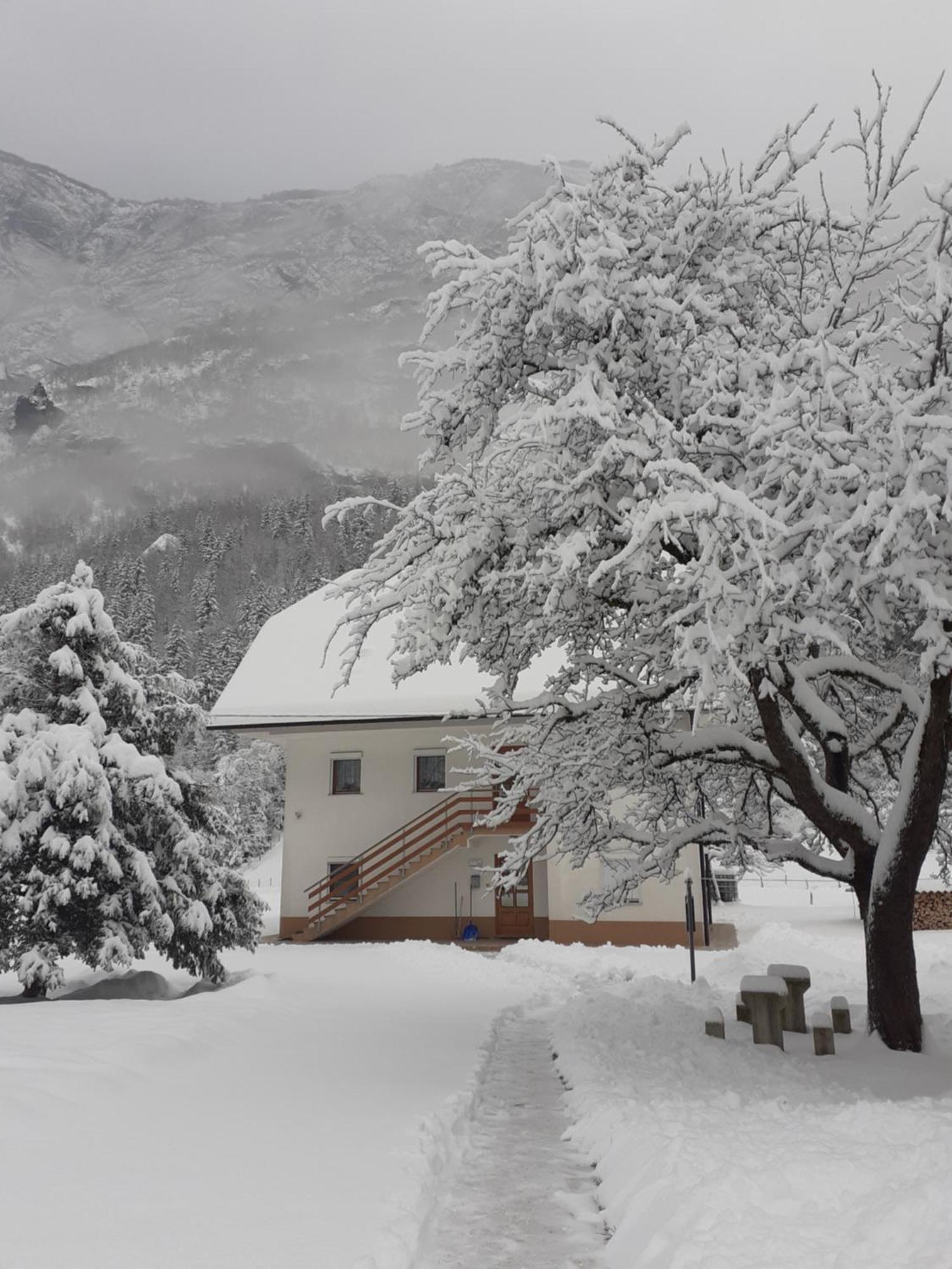 Apartma Pod Rozem Soča エクステリア 写真
