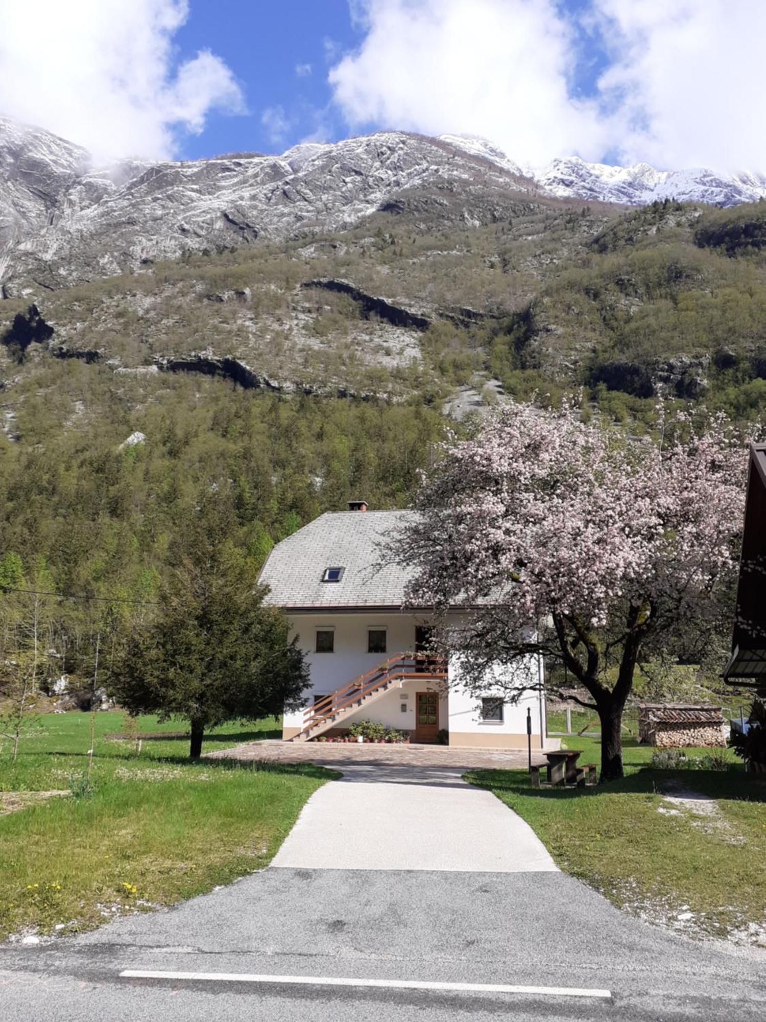 Apartma Pod Rozem Soča エクステリア 写真