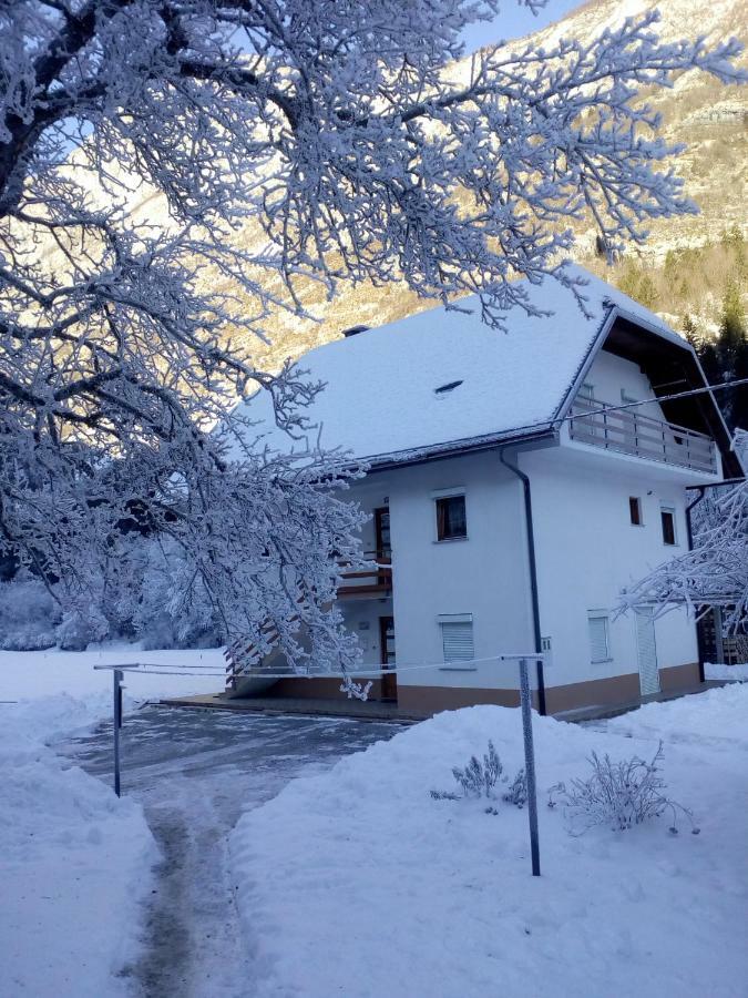 Apartma Pod Rozem Soča エクステリア 写真
