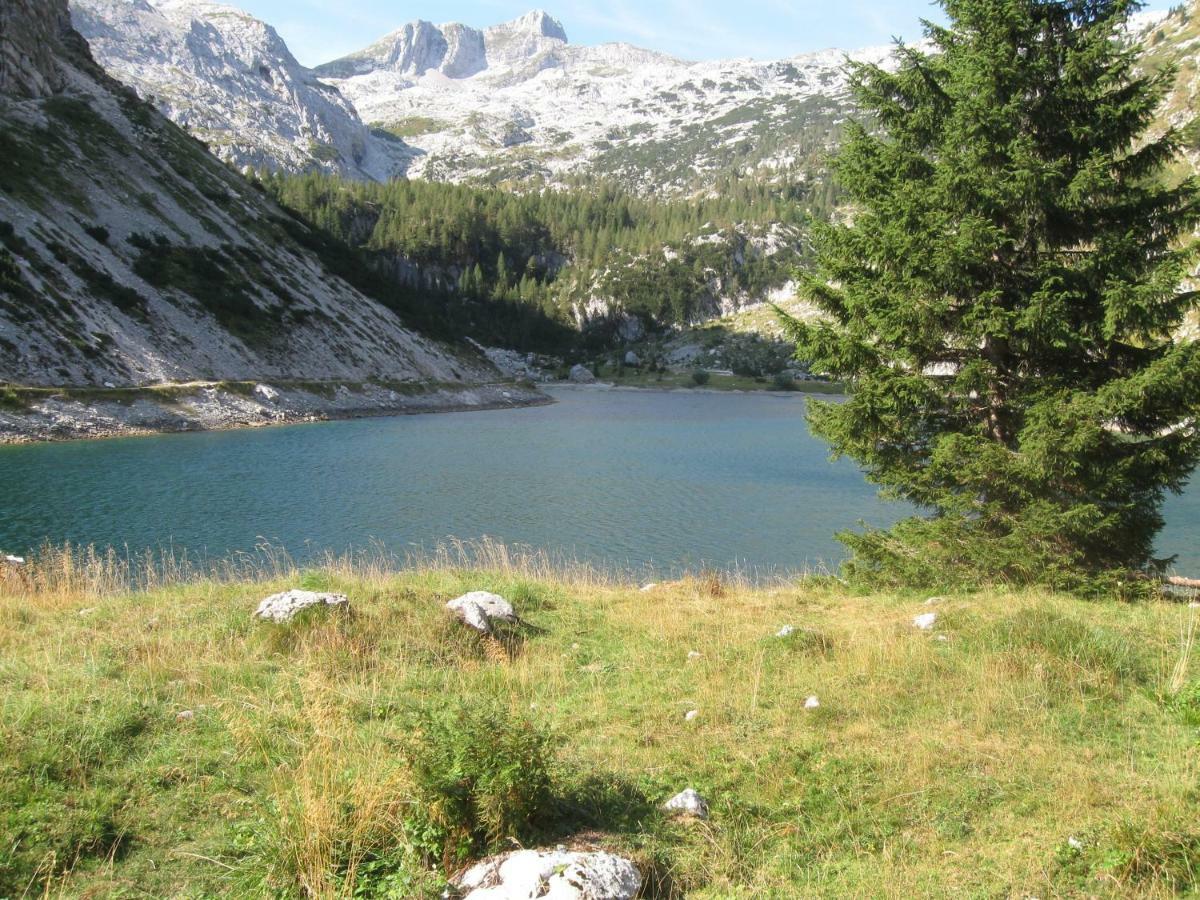 Apartma Pod Rozem Soča エクステリア 写真