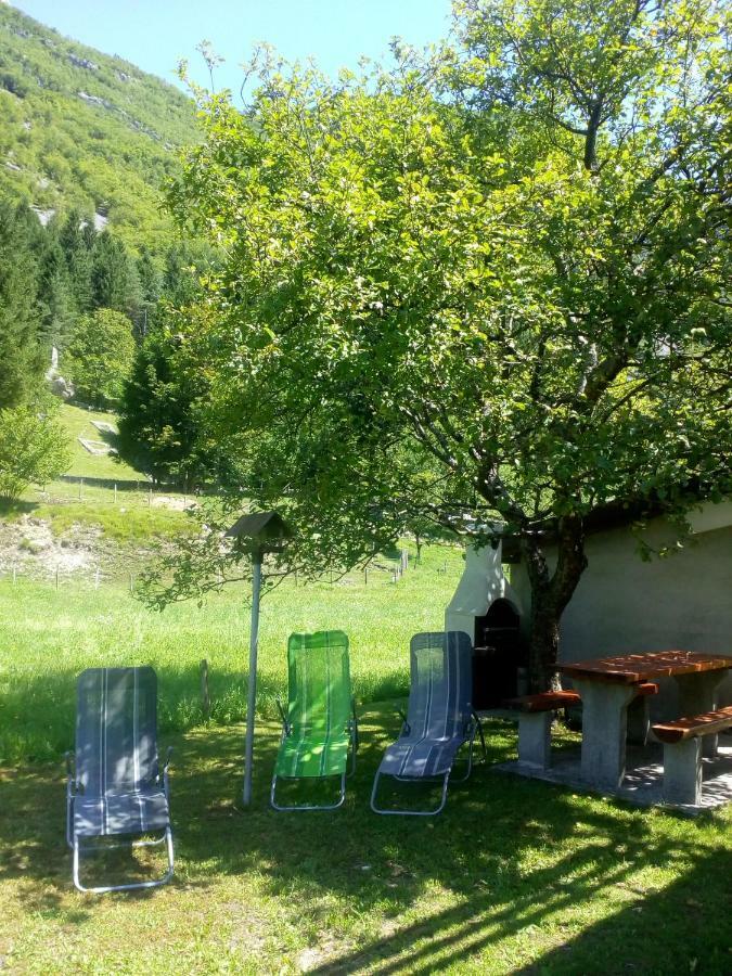 Apartma Pod Rozem Soča エクステリア 写真