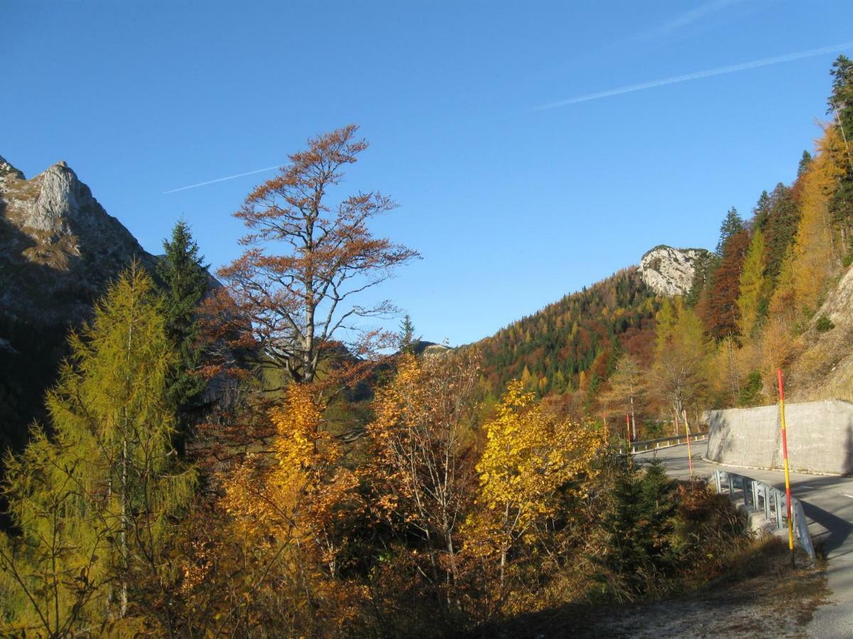 Apartma Pod Rozem Soča エクステリア 写真