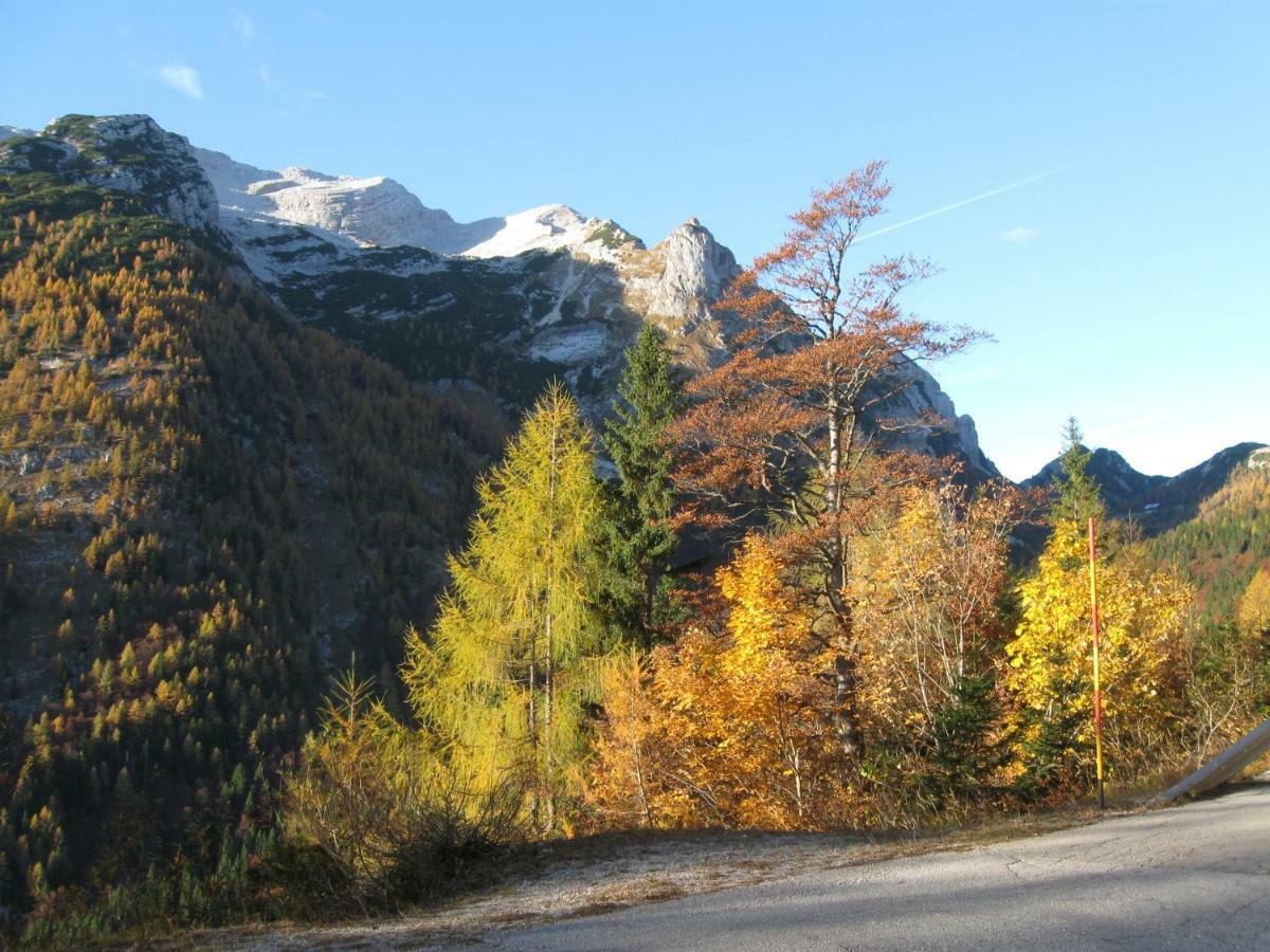 Apartma Pod Rozem Soča エクステリア 写真