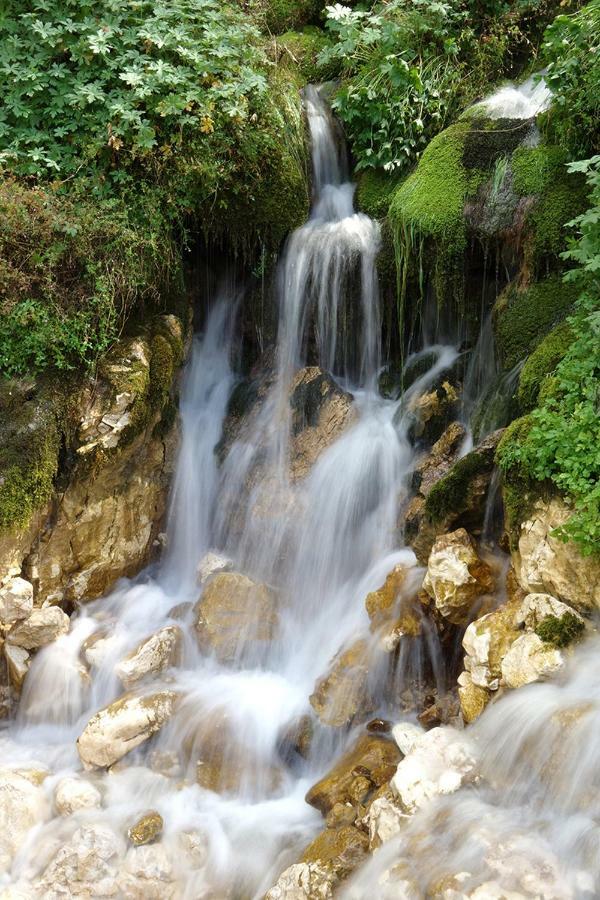 Apartma Pod Rozem Soča エクステリア 写真