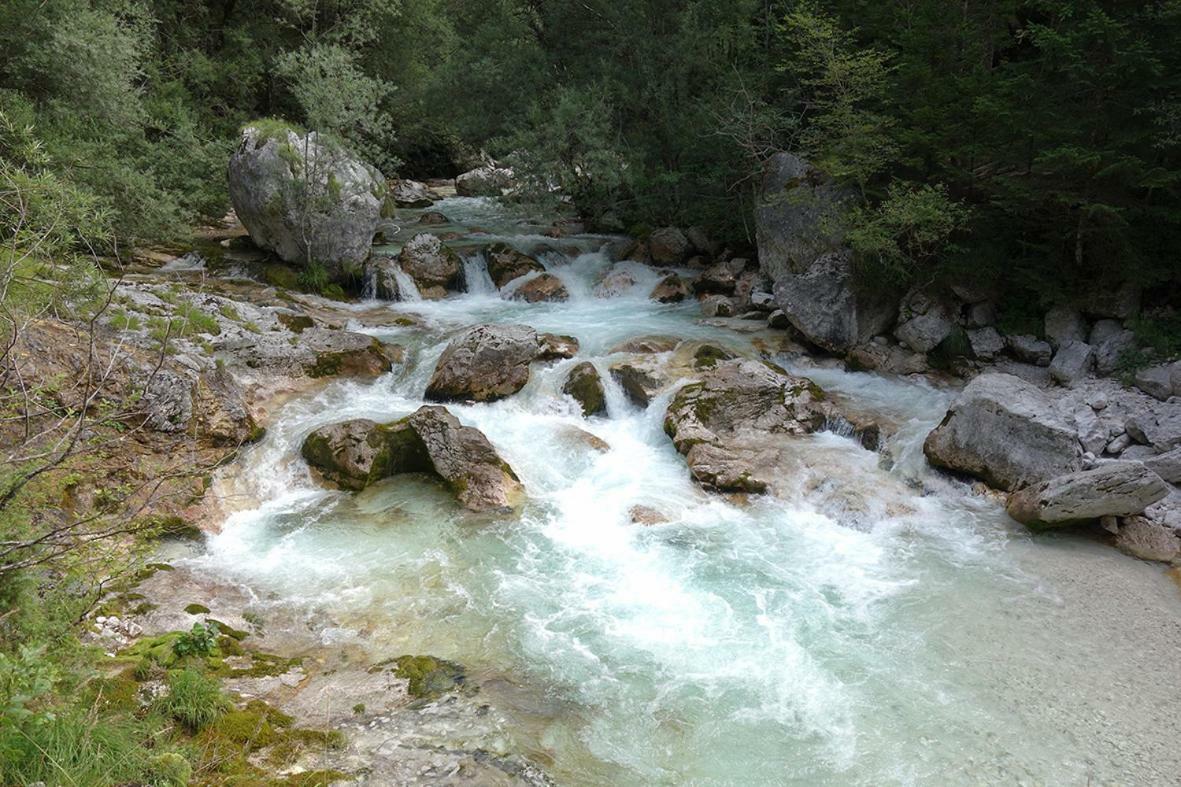 Apartma Pod Rozem Soča エクステリア 写真